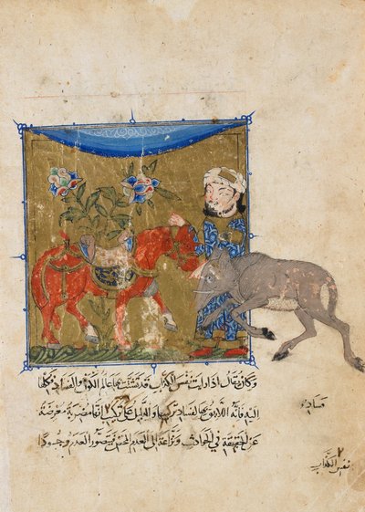 Folio da un Sulwan al-Muta di Ibn Zafar; verso: il cinghiale e il cavallo da Unbekannt Unbekannt